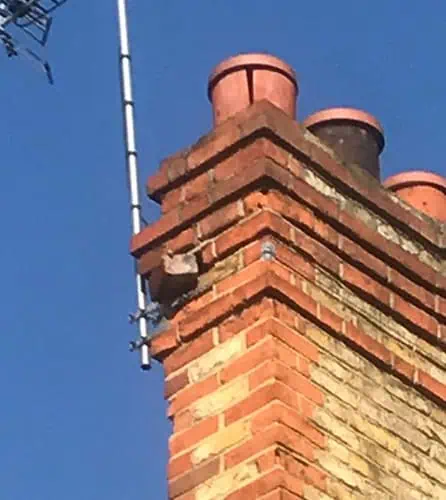 Photo showing chimney caps installed on a Surrey home by JBL Chimney Services